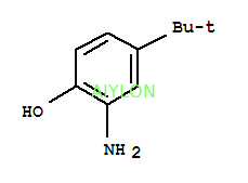 2 amino 4 de Kleurstoftussenpersonen van Tert Butylphenol met CAS Nr 1199 46 8